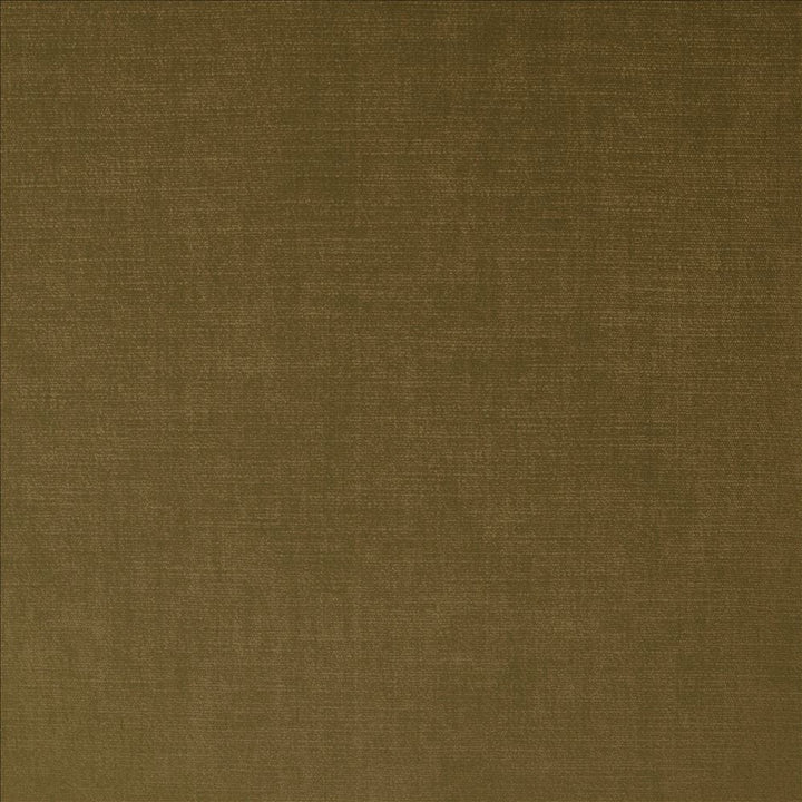 Evermore Bark by Kasmir Fabric 5179 100% Polyester
 INDIA 60,000 Wyzenbeek Double Rubs </p><p>Repeat: Horizontal: N/A and Vertical: N/A 54 - Fabric Carolina -