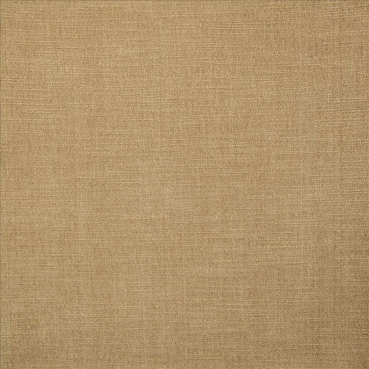 Evermore Barley by Kasmir Fabric 5179 100% Polyester
 INDIA </p><p>Repeat: Horizontal: N/A and Vertical: N/A 54 - Fabric Carolina -