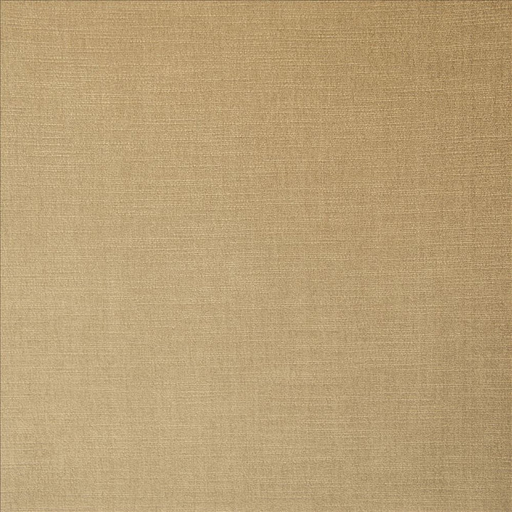 Evermore Barley by Kasmir Fabric 5179 100% Polyester
 INDIA 60,000 Wyzenbeek Double Rubs </p><p>Repeat: Horizontal: N/A and Vertical: N/A 54 - Fabric Carolina -