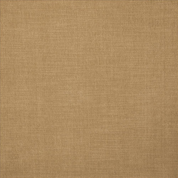 Evermore Beige by Kasmir Fabric 5179 100% Polyester
 INDIA </p><p>Repeat: Horizontal: N/A and Vertical: N/A 54 - Fabric Carolina -