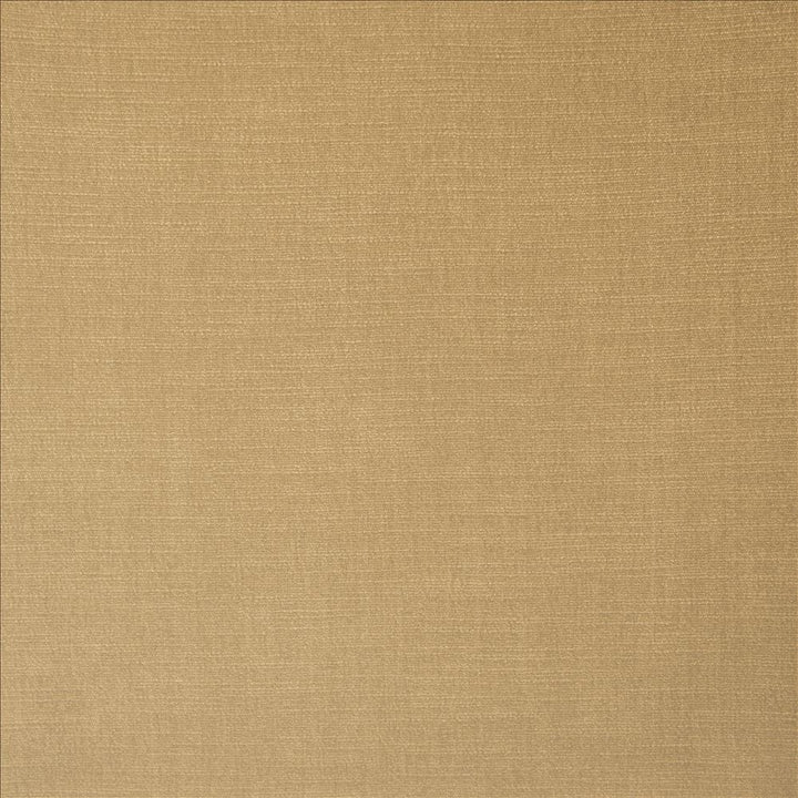Evermore Beige by Kasmir Fabric 5179 100% Polyester
 INDIA 60,000 Wyzenbeek Double Rubs </p><p>Repeat: Horizontal: N/A and Vertical: N/A 54 - Fabric Carolina -