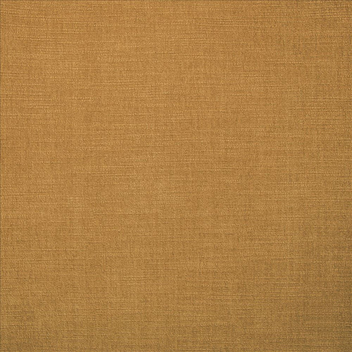 Evermore Brass by Kasmir Fabric 5179 100% Polyester
 INDIA </p><p>Repeat: Horizontal: N/A and Vertical: N/A 54 - Fabric Carolina -