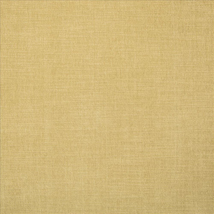 Evermore Chamois by Kasmir Fabric 5179 100% Polyester
 INDIA </p><p>Repeat: Horizontal: N/A and Vertical: N/A 54 - Fabric Carolina -