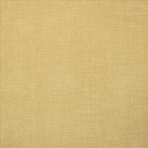 Evermore Chamois by Kasmir Fabric