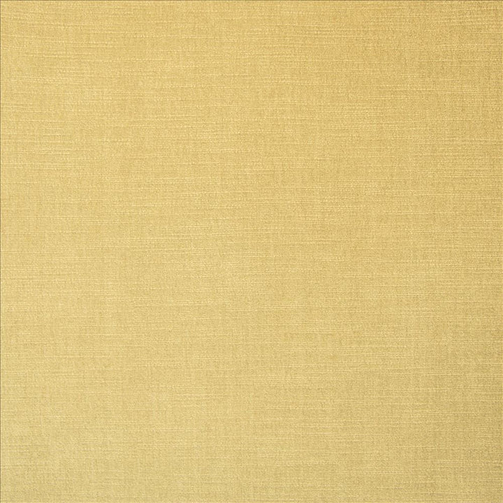 Evermore Chamois by Kasmir Fabric 5179 100% Polyester
 INDIA 60,000 Wyzenbeek Double Rubs </p><p>Repeat: Horizontal: N/A and Vertical: N/A 54 - Fabric Carolina -