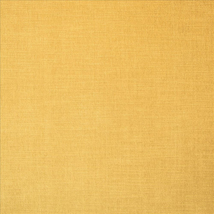 Evermore Honey by Kasmir Fabric 5179 100% Polyester
 INDIA 60,000 Wyzenbeek Double Rubs </p><p>Repeat: Horizontal: N/A and Vertical: N/A 54 - Fabric Carolina -