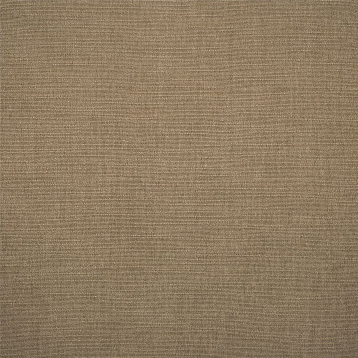 Evermore Khaki by Kasmir Fabric 5179 100% Polyester
 INDIA </p><p>Repeat: Horizontal: N/A and Vertical: N/A 54 - Fabric Carolina -