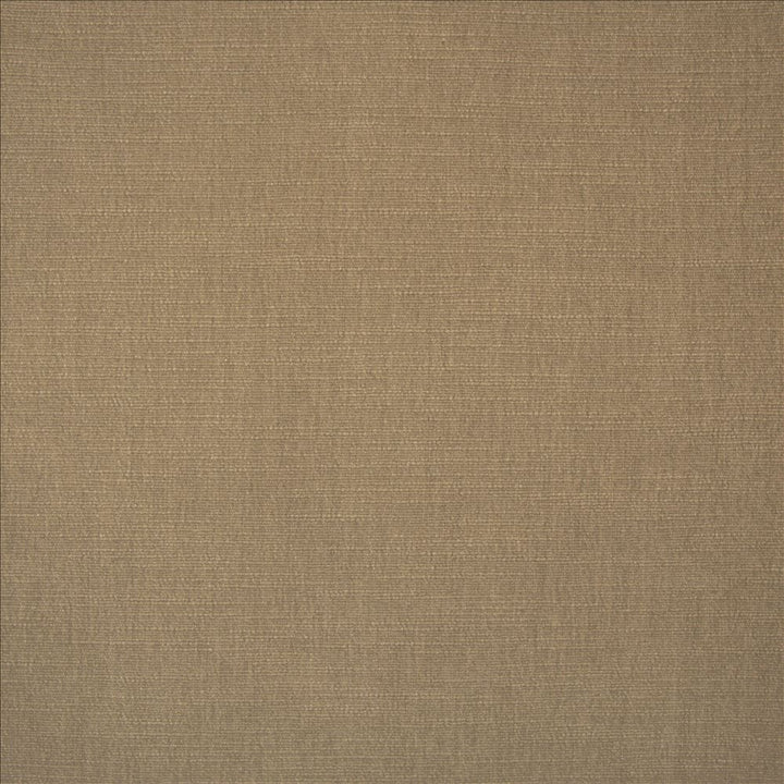 Evermore Khaki by Kasmir Fabric 5179 100% Polyester
 INDIA 60,000 Wyzenbeek Double Rubs </p><p>Repeat: Horizontal: N/A and Vertical: N/A 54 - Fabric Carolina -