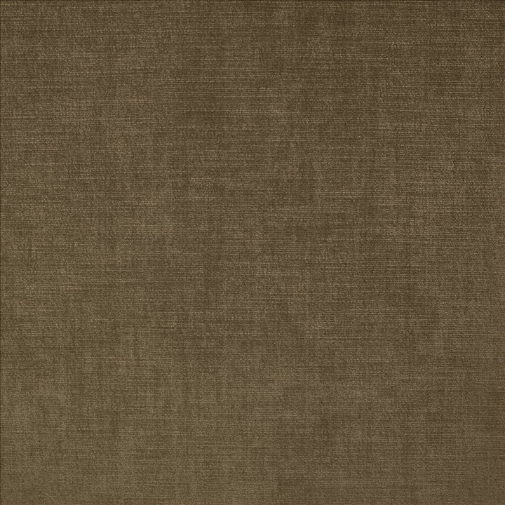 Evermore Mocha by Kasmir Fabric 5179 100% Polyester
 INDIA 60,000 Wyzenbeek Double Rubs </p><p>Repeat: Horizontal: N/A and Vertical: N/A 54 - Fabric Carolina -