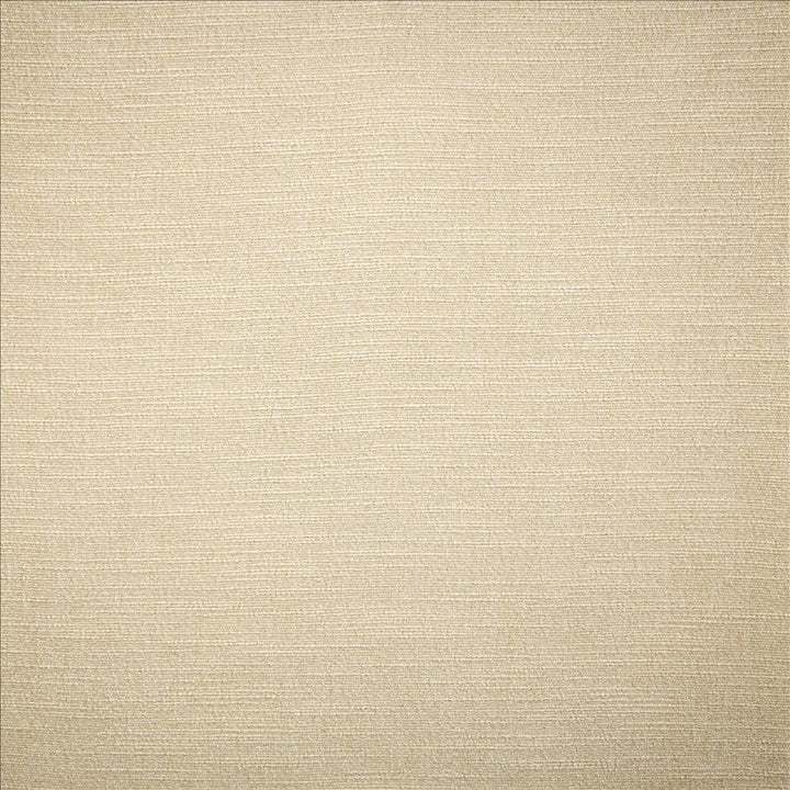 Evermore Moon by Kasmir Fabric 5179 100% Polyester
 INDIA </p><p>Repeat: Horizontal: N/A and Vertical: N/A 54 - Fabric Carolina -