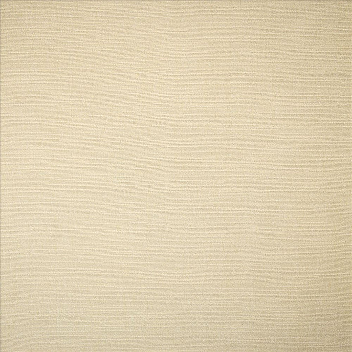 Evermore Moon by Kasmir Fabric 5179 100% Polyester
 INDIA 60,000 Wyzenbeek Double Rubs </p><p>Repeat: Horizontal: N/A and Vertical: N/A 54 - Fabric Carolina -