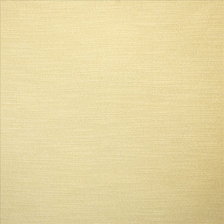 Evermore Natural by Kasmir Fabric 5179 100% Polyester
 INDIA 60,000 Wyzenbeek Double Rubs </p><p>Repeat: Horizontal: N/A and Vertical: N/A 54 - Fabric Carolina -