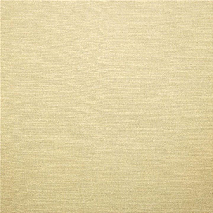 Evermore Natural by Kasmir Fabric 5179 100% Polyester
 INDIA </p><p>Repeat: Horizontal: N/A and Vertical: N/A 54 - Fabric Carolina -