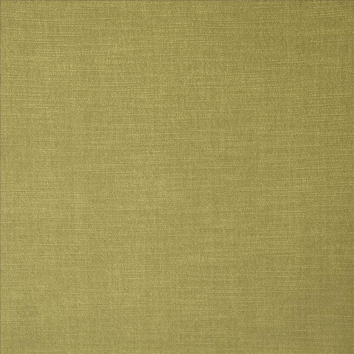 Evermore Sage by Kasmir Fabric 5179 100% Polyester
 INDIA 60,000 Wyzenbeek Double Rubs </p><p>Repeat: Horizontal: N/A and Vertical: N/A 54 - Fabric Carolina -