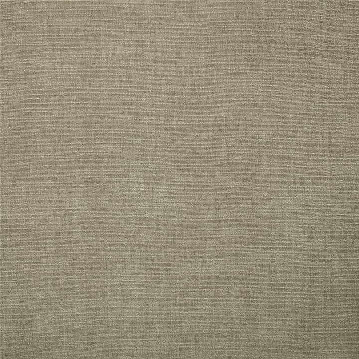 Evermore Silver by Kasmir Fabric 5179 100% Polyester
 INDIA </p><p>Repeat: Horizontal: N/A and Vertical: N/A 54 - Fabric Carolina -
