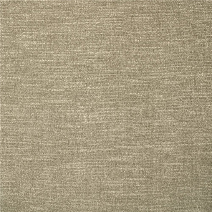 Evermore Silver by Kasmir Fabric 5179 100% Polyester
 INDIA 60,000 Wyzenbeek Double Rubs </p><p>Repeat: Horizontal: N/A and Vertical: N/A 54 - Fabric Carolina -