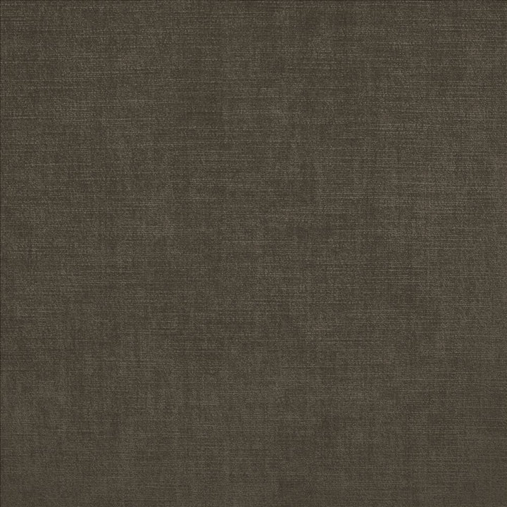 Evermore Slate by Kasmir Fabric 5179 100% Polyester
 INDIA </p><p>Repeat: Horizontal: N/A and Vertical: N/A 54 - Fabric Carolina -
