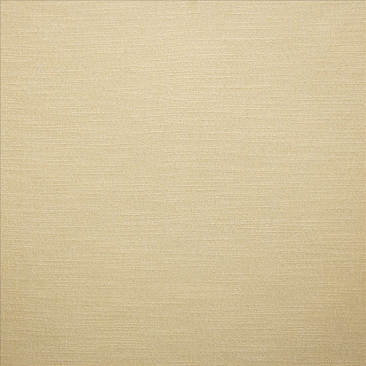 Evermore Vanilla by Kasmir Fabric 5179 100% Polyester
 INDIA </p><p>Repeat: Horizontal: N/A and Vertical: N/A 54 - Fabric Carolina -