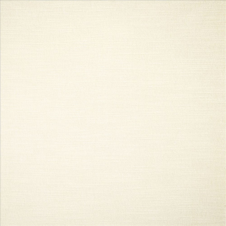 Evermore White by Kasmir Fabric 5179 100% Polyester
 INDIA 60,000 Wyzenbeek Double Rubs </p><p>Repeat: Horizontal: N/A and Vertical: N/A 54 - Fabric Carolina -