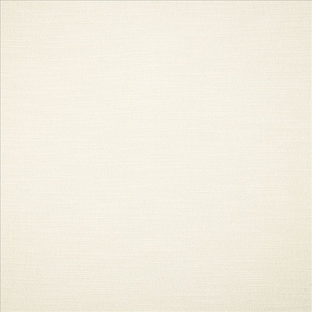 Evermore White by Kasmir Fabric 5179 100% Polyester
 INDIA </p><p>Repeat: Horizontal: N/A and Vertical: N/A 54 - Fabric Carolina -