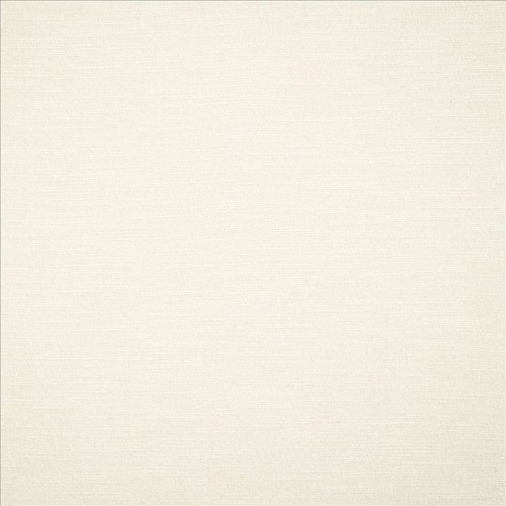 Evermore White by Kasmir Fabric 5179 100% Polyester
 INDIA </p><p>Repeat: Horizontal: N/A and Vertical: N/A 54 - Fabric Carolina -