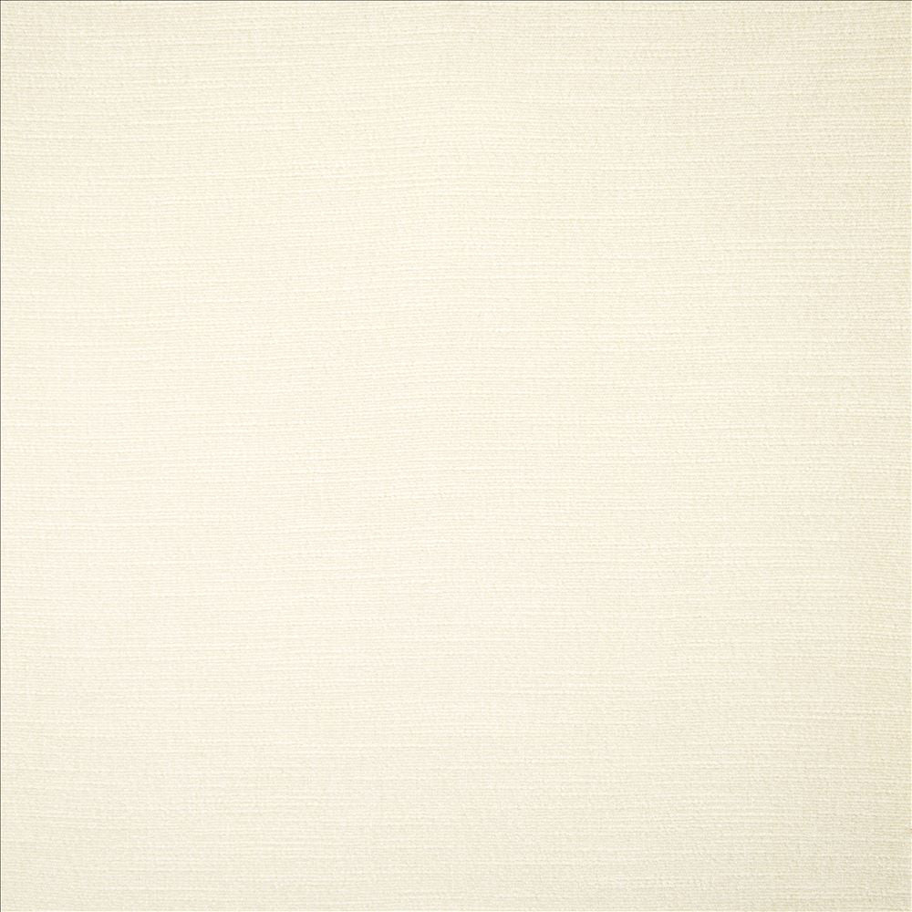 Evermore White by Kasmir Fabric 5179 100% Polyester
 INDIA 60,000 Wyzenbeek Double Rubs </p><p>Repeat: Horizontal: N/A and Vertical: N/A 54 - Fabric Carolina -