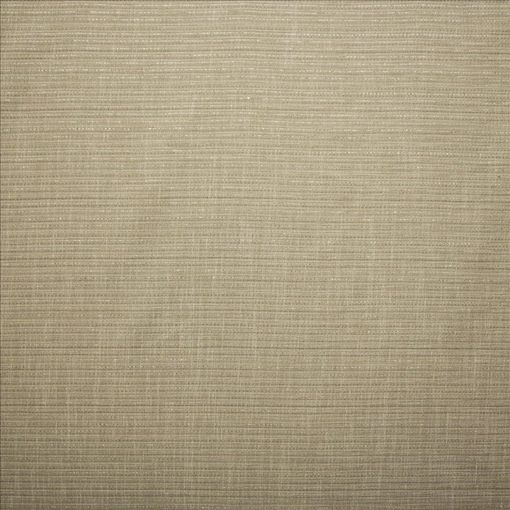 Evie Stone by Kasmir Fabric 5157 100% Polyester
 TURKEY Not Tested </p><p>Repeat: Horizontal: N/A and Vertical: N/A 58 - Fabric Carolina -