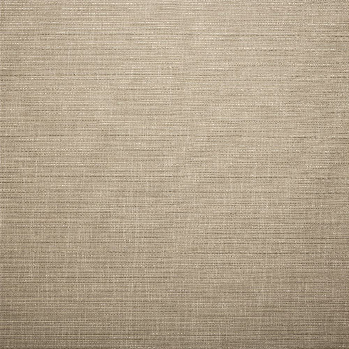 Evie Stone by Kasmir Fabric 5157 100% Polyester
 TURKEY </p><p>Repeat: Horizontal: N/A and Vertical: N/A 58 - Fabric Carolina -