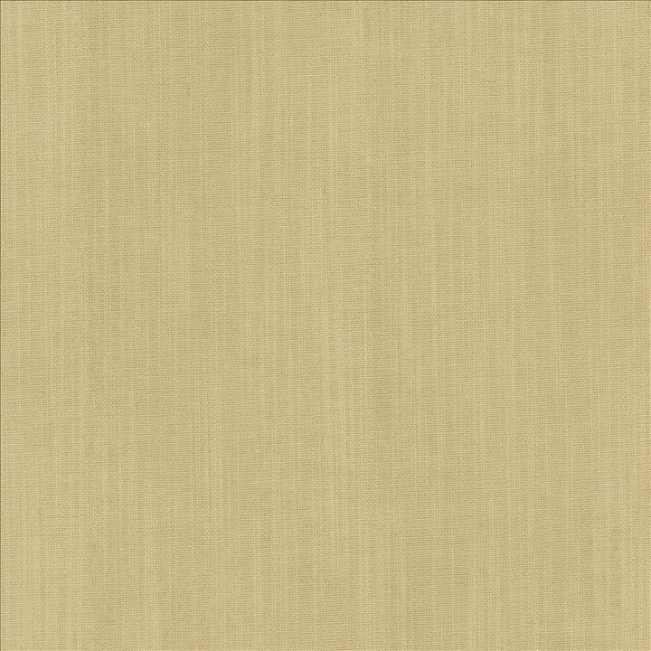 Explorer Custard  by Kasmir Fabric See sample 100% Polyester
 CHINA 50,000 Wyzenbeek Double Rubs </p><p>Repeat: Horizontal: N/A and Vertical: N/A 54  - Fabric Carolina -