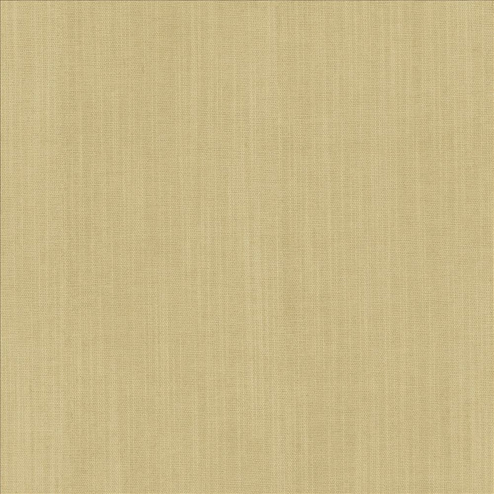 Explorer Custard by Kasmir Fabric 5171 100% Polyester
 CHINA 50,000 Wyzenbeek Double Rubs </p><p>Repeat: Horizontal: N/A and Vertical: N/A 54 - Fabric Carolina -