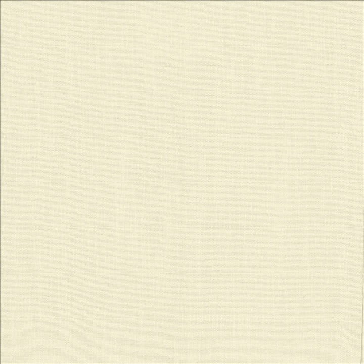 Explorer Snow by Kasmir Fabric 5171 100% Polyester
 CHINA 50,000 Wyzenbeek Double Rubs Horizontal: N/A and Vertical: N/A 54 - Fabric Carolina -