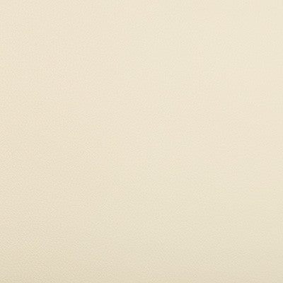 Extreme Putty by Kravet Contract Fabric