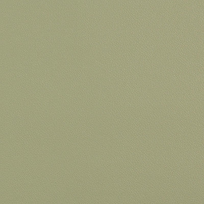 Extreme Sage by Kravet Contract Fabric
