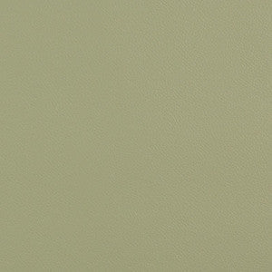 Extreme Sage by Kravet Contract Fabric