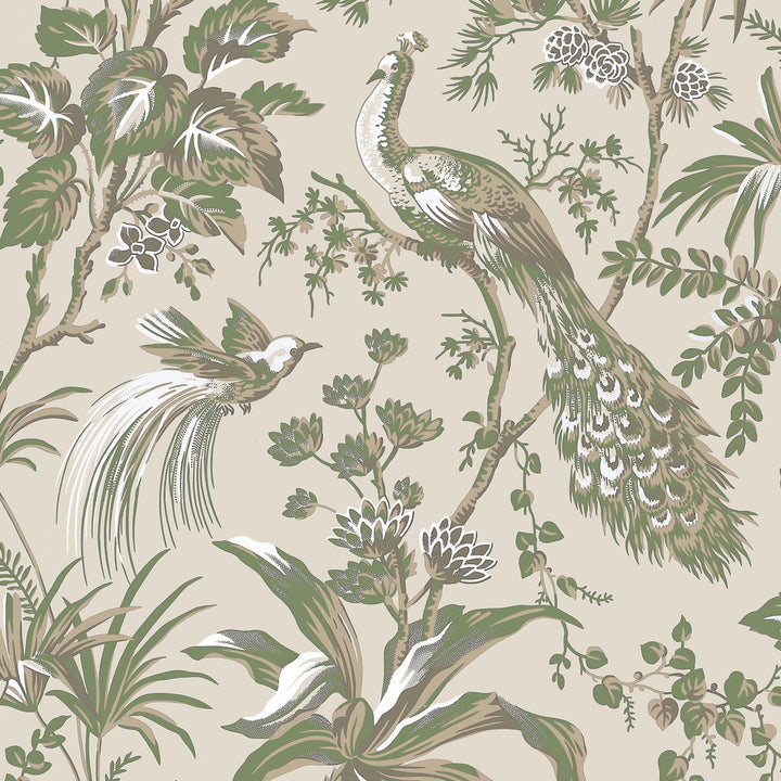 Peacock Toile Green on Natural AT57832 by Anna French Wallpaper Anna French Wallpaper Peacock Toile Green on Natural AT57832Wallpaper Bristol </p><p>Repeat: V: 36.00"(91.44 cm) 27.00"(68.58 cm) - Fabric Carolina -