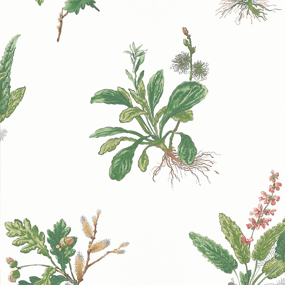 Woodland Green and Blush AT57852 by Anna French Wallpaper Anna French Wallpaper Woodland Green and Blush AT57852Wallpaper Bristol </p><p>Repeat: V: 21.50"(54.61 cm) 20.50"(52.07 cm) - Fabric Carolina -