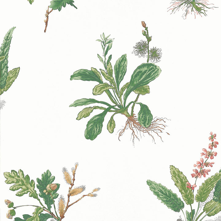 Woodland Green and Blush AT57852 by Anna French Wallpaper Anna French Wallpaper Woodland Green and Blush AT57852Wallpaper Bristol </p><p>Repeat: V: 21.50"(54.61 cm) 20.50"(52.07 cm) - Fabric Carolina -