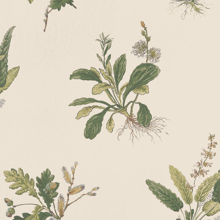 Woodland Green on Natural AT57853 by Anna French Wallpaper Anna French Wallpaper Woodland Green on Natural AT57853Wallpaper Bristol </p><p>Repeat: V: 21.50"(54.61 cm) 20.50"(52.07 cm) - Fabric Carolina -