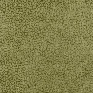 Trefolia Velvet Ivy AW9251 by Anna French Fabric