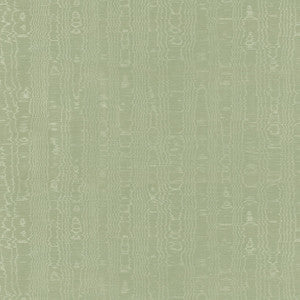 Regia Willow AW9214 by Anna French Fabric
