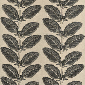 Lacinato Basalt Black F912038 by Thibaut Fabric