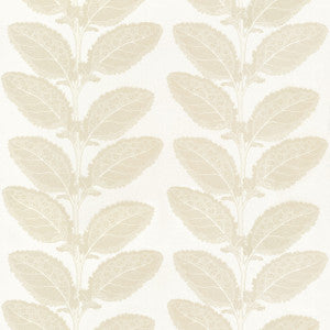 Lacinato Birch F912041 by Thibaut Fabric