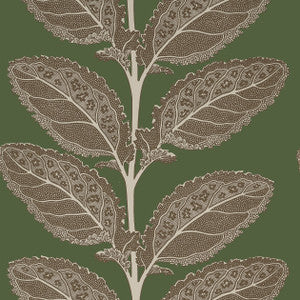 Lacinato Wild Sage T12040 by Thibaut Wallpaper