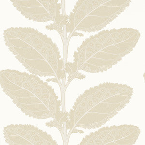 Lacinato Birch T12041 by Thibaut Wallpaper