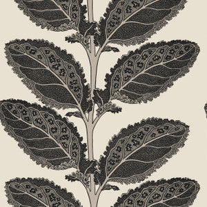 Lacinato Basalt Black T12038 by Thibaut Wallpaper