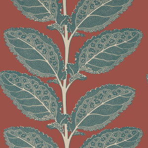 Lacinato Sunbaked T12039 by Thibaut Wallpaper