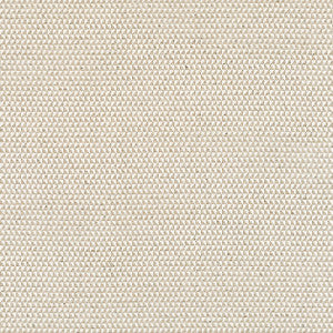 Pollux Flax W81912 by Thibaut Fabric