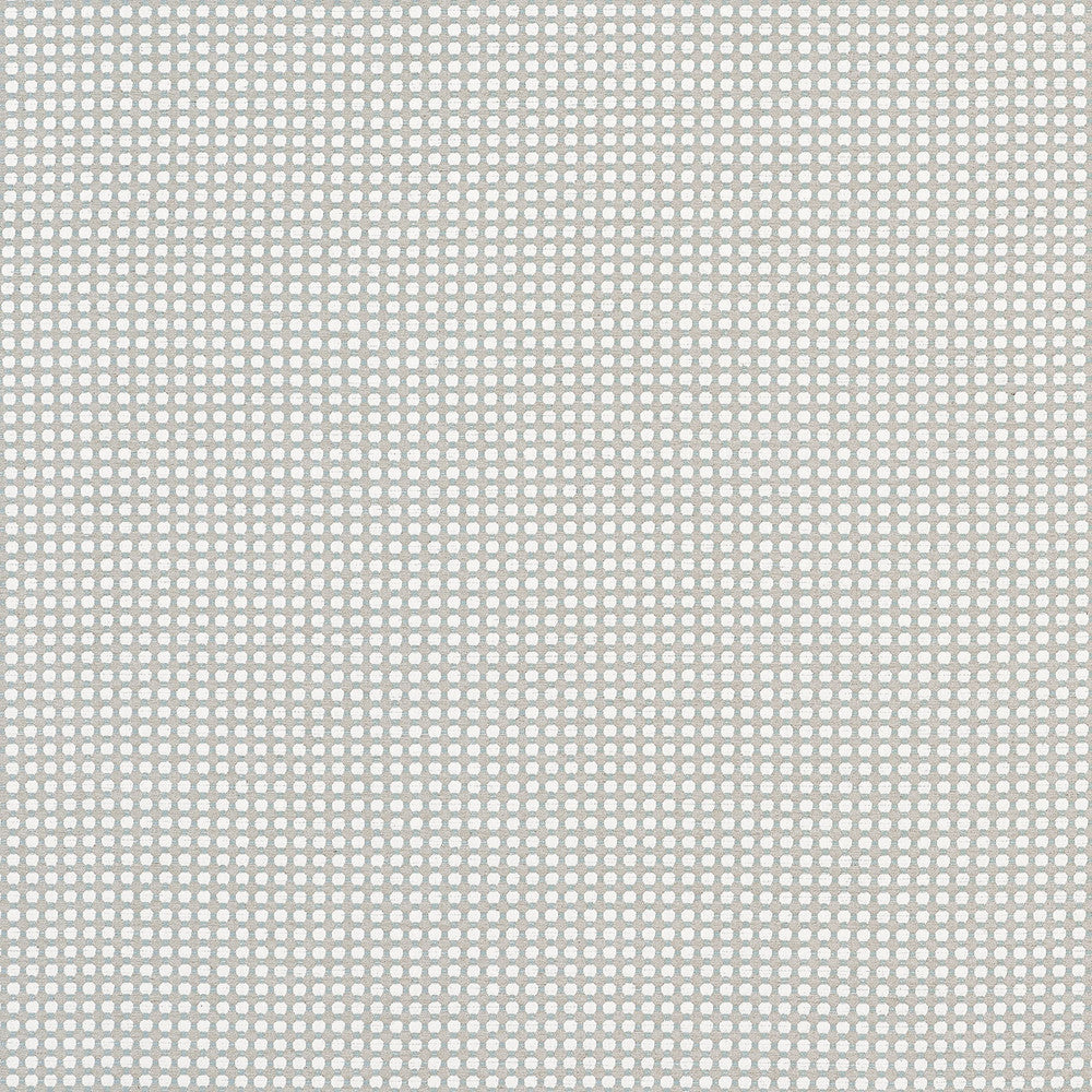 Darcy Sterling W81914 by Thibaut Fabric Thibaut Fabric Darcy Sterling W81914Fabric Companions </p><p>Repeat: V: 0.50" (1.27 cm) 54.00" (137.16 cm) - Fabric Carolina -