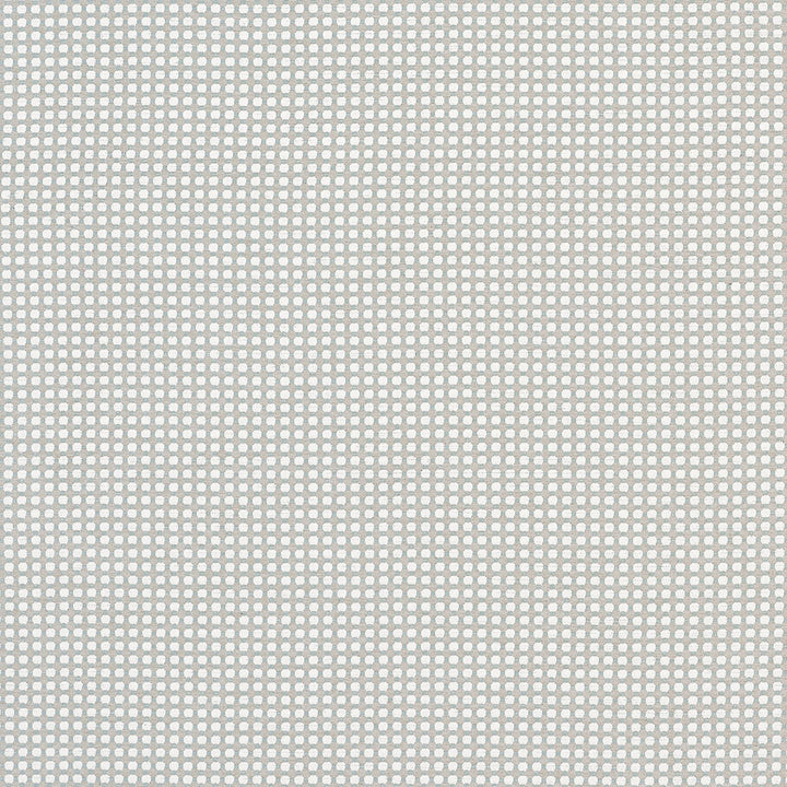 Darcy Sterling W81914 by Thibaut Fabric Thibaut Fabric Darcy Sterling W81914Fabric Companions </p><p>Repeat: V: 0.50" (1.27 cm) 54.00" (137.16 cm) - Fabric Carolina -