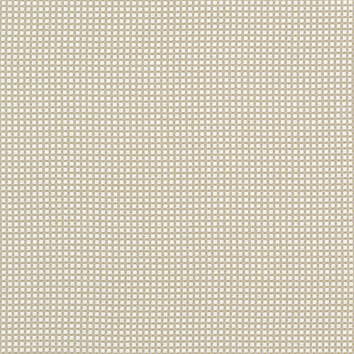 Darcy Flax W81915 by Thibaut Fabric Thibaut Fabric Darcy Flax W81915Fabric Companions </p><p>Repeat: V: 0.50" (1.27 cm) 54.00" (137.16 cm) - Fabric Carolina -